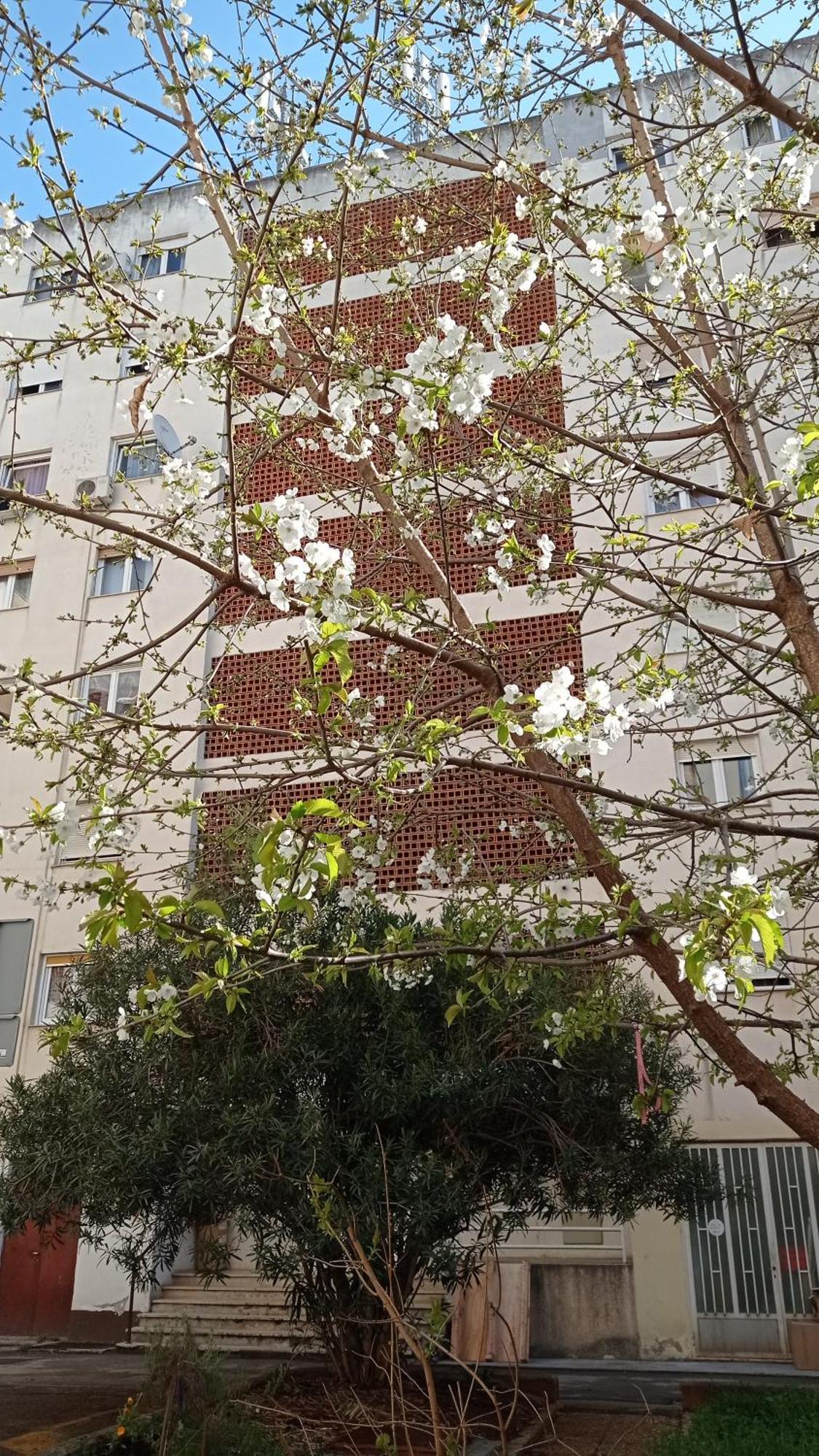 App Letta Sunset Pula Apartment Exterior foto